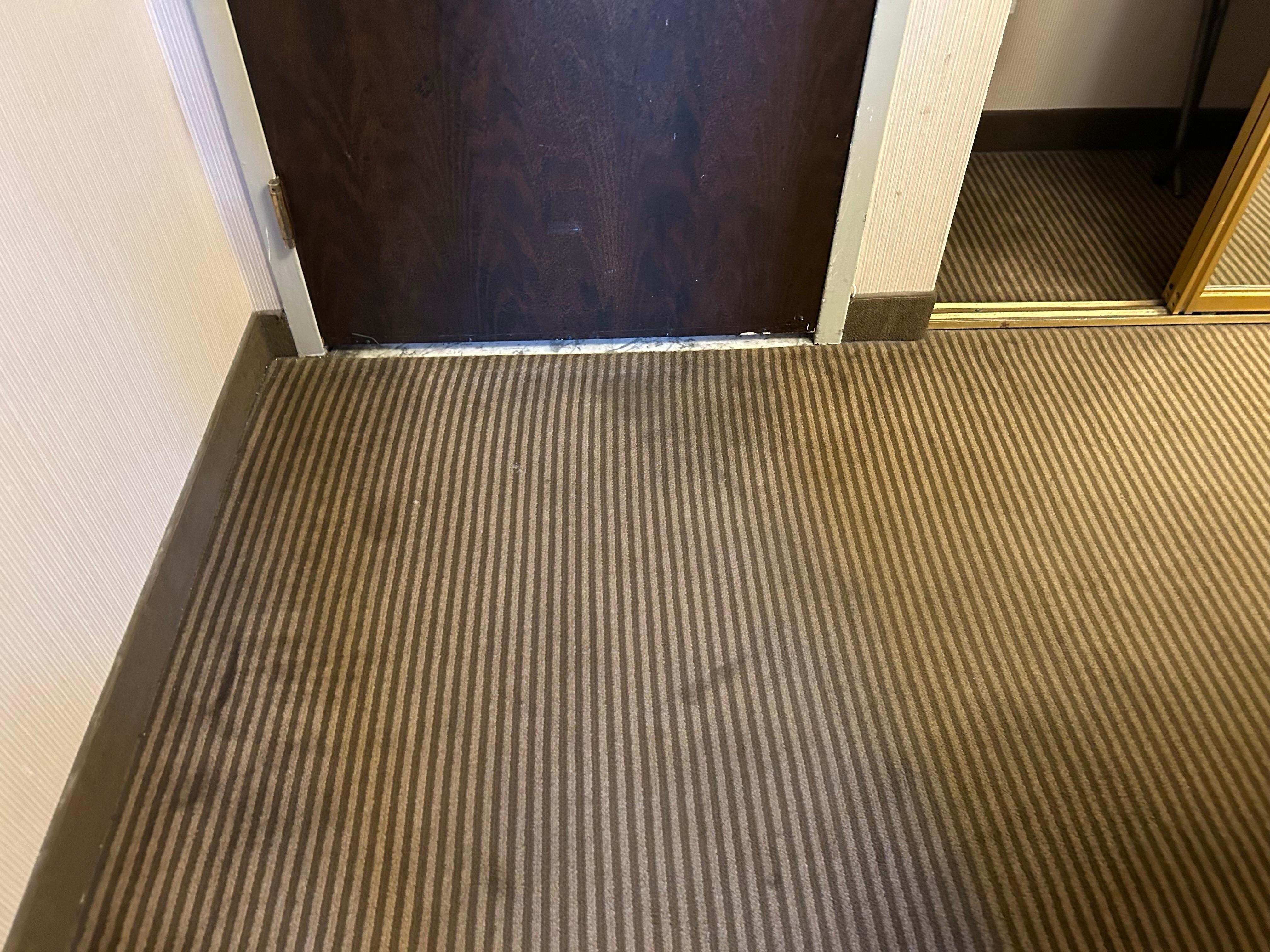 Nasty carpet and scratched doors