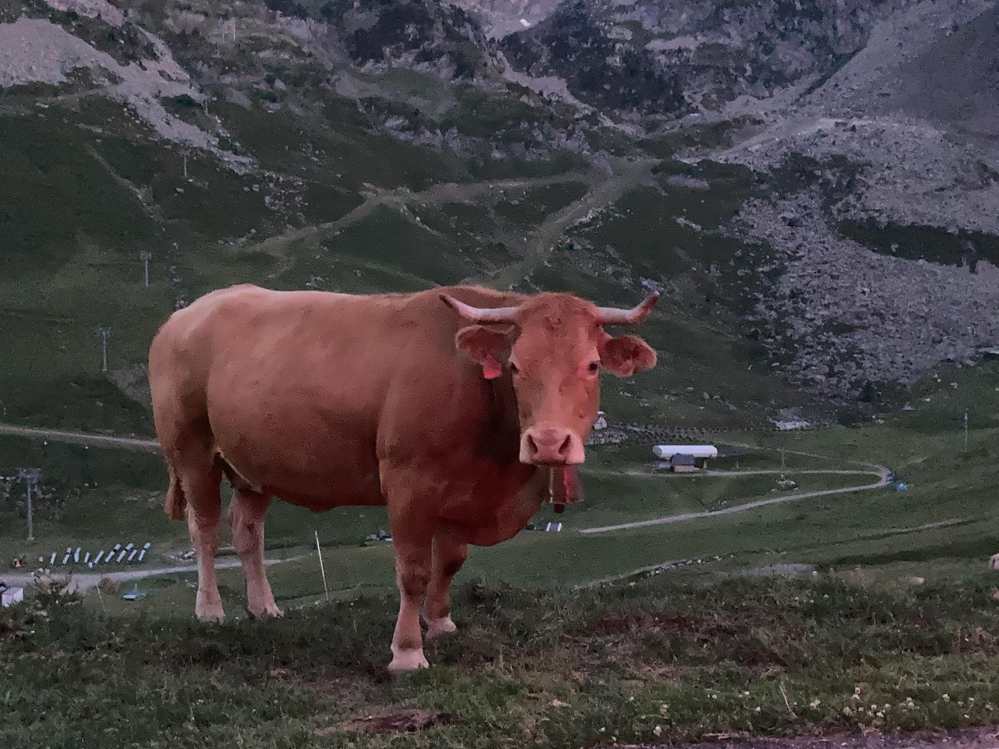 Col du Tourmalet 