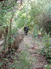 PrĂšs de la terrasse
