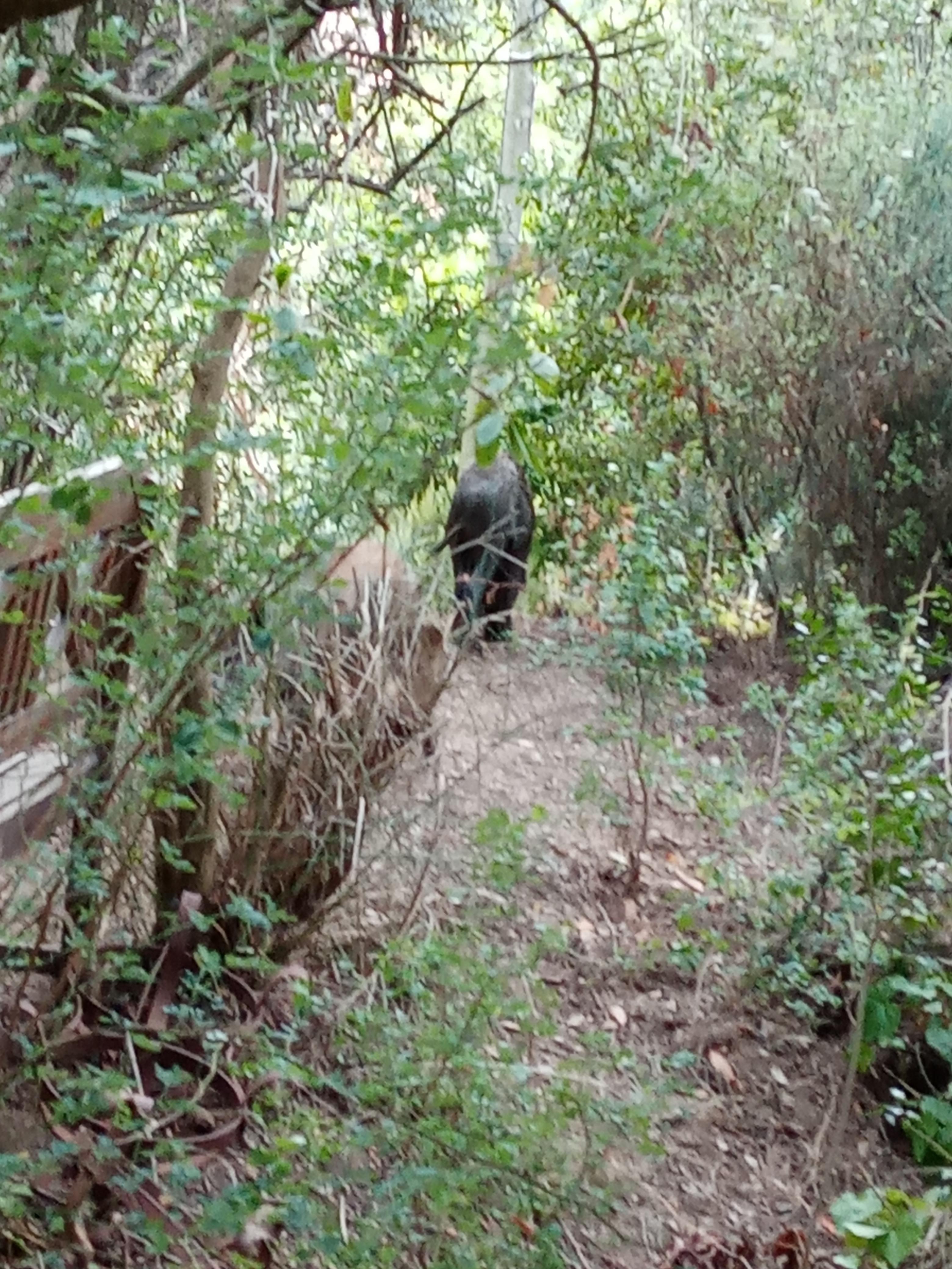 Près de la terrasse 