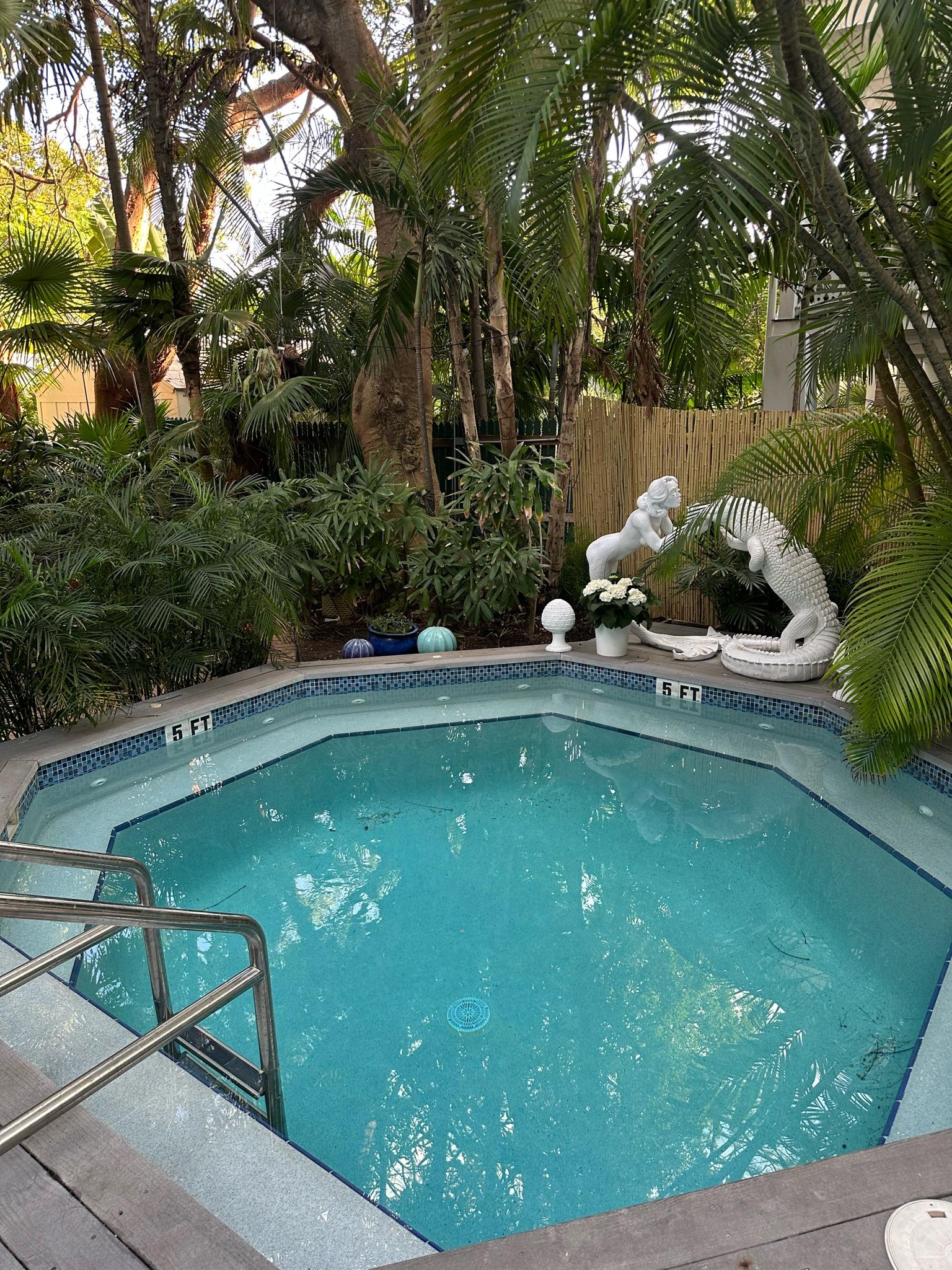 piscine de jour