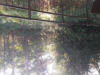 Zicht van op ons kamerterras