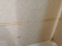 Filth in the bathtub.