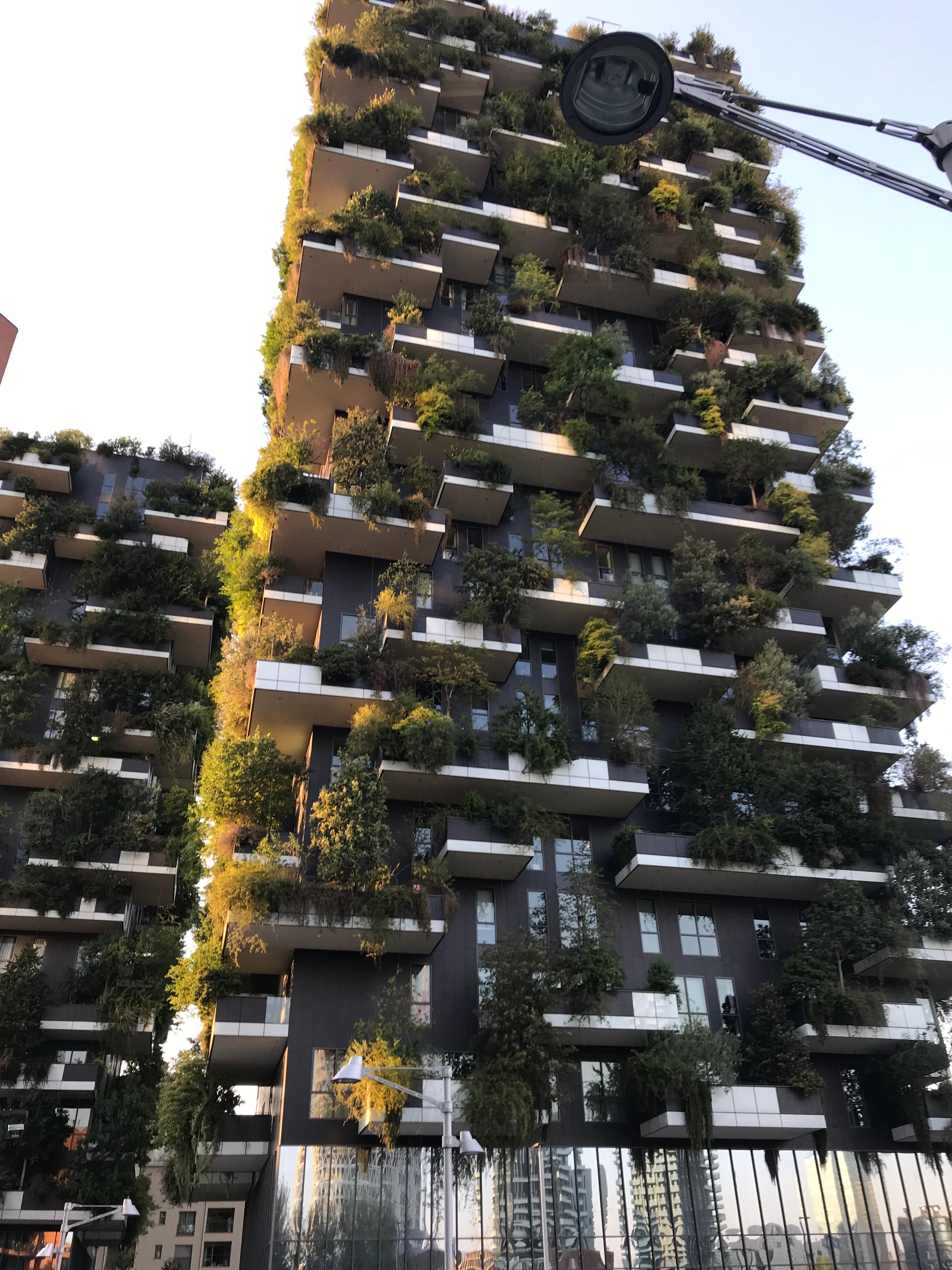 Il bosco verticale 