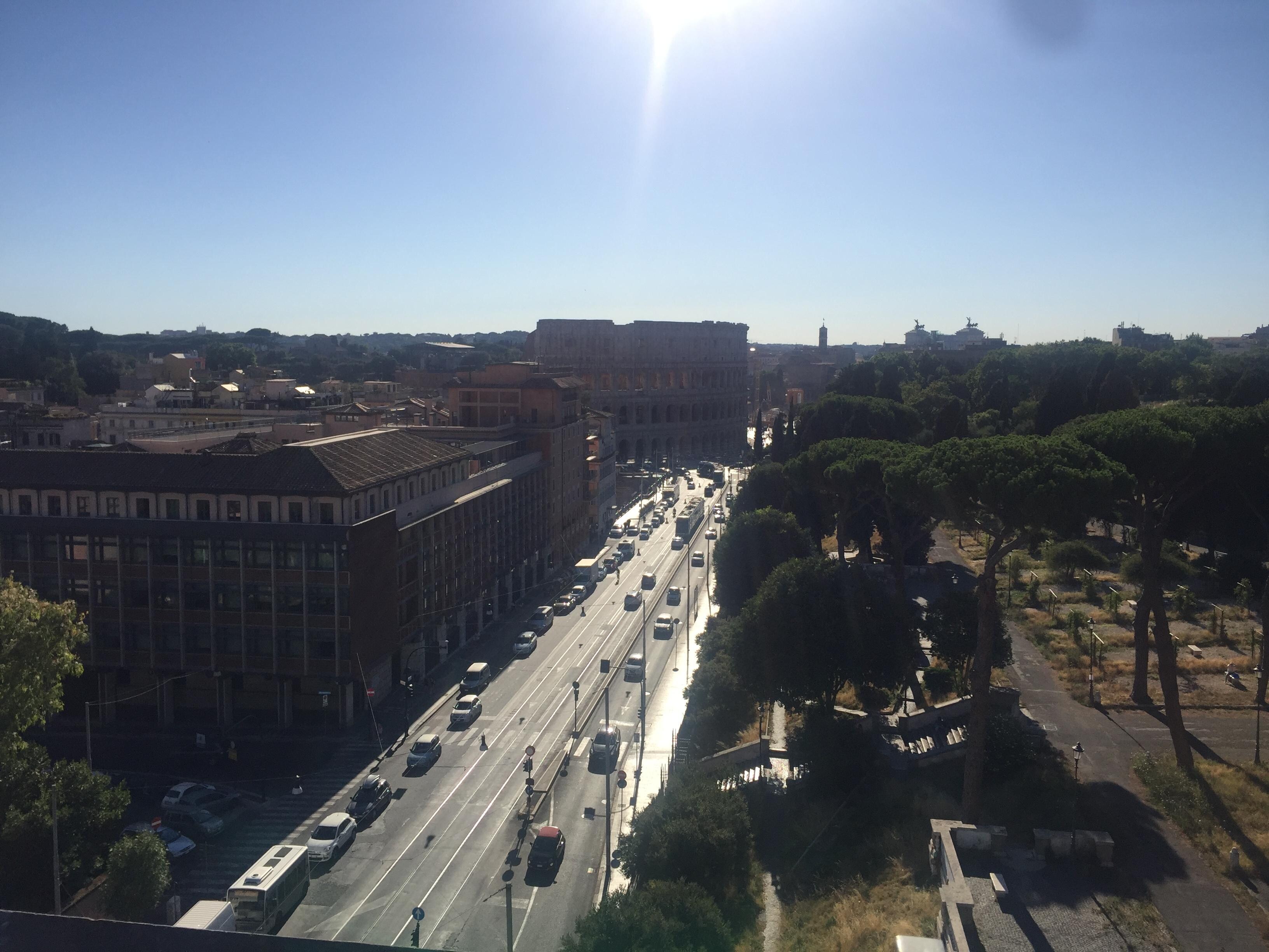 Rooftop View