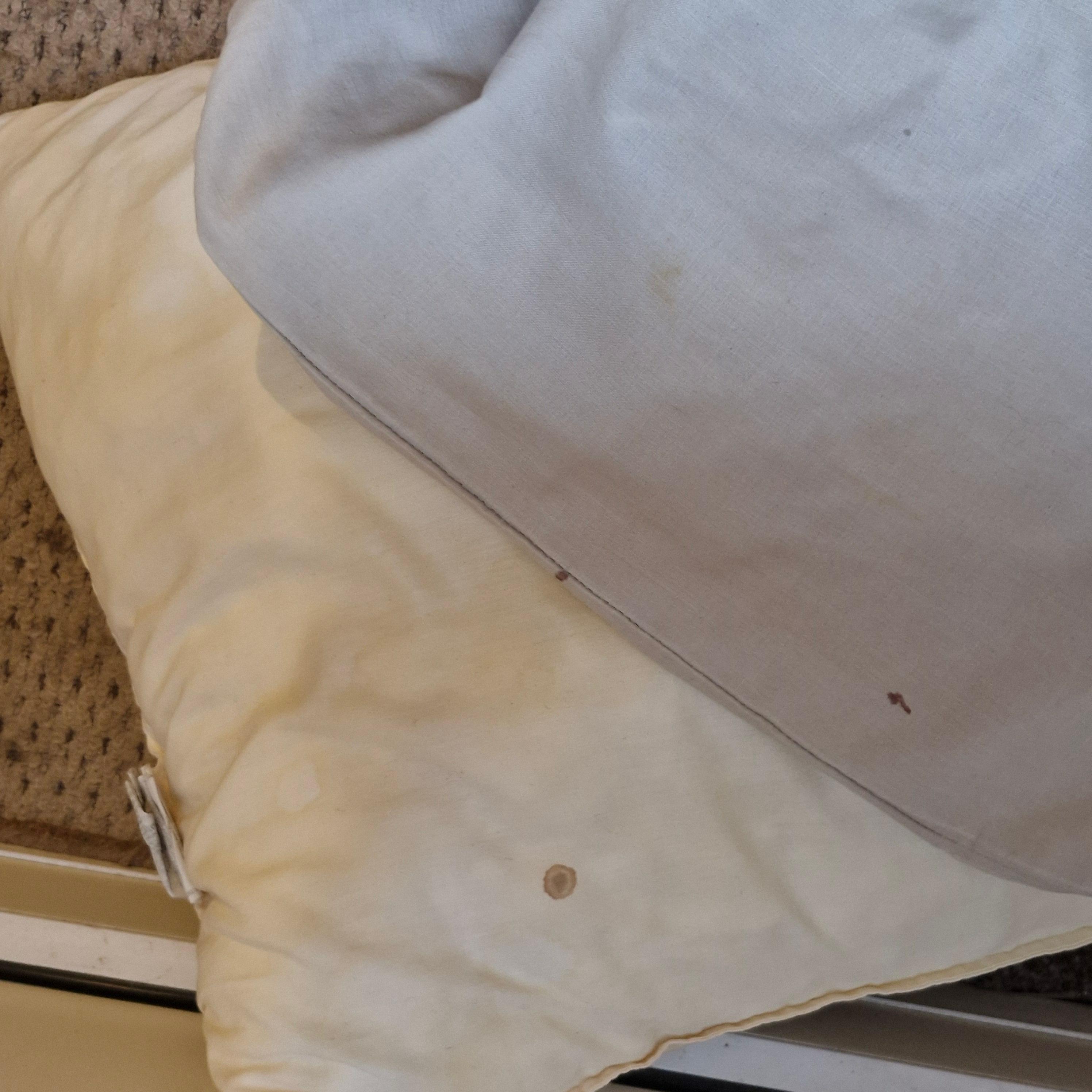 Blood stains on pillow and pillowcase with no other pillow protector