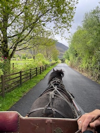 Carriage ride to the Gap of Dunloe