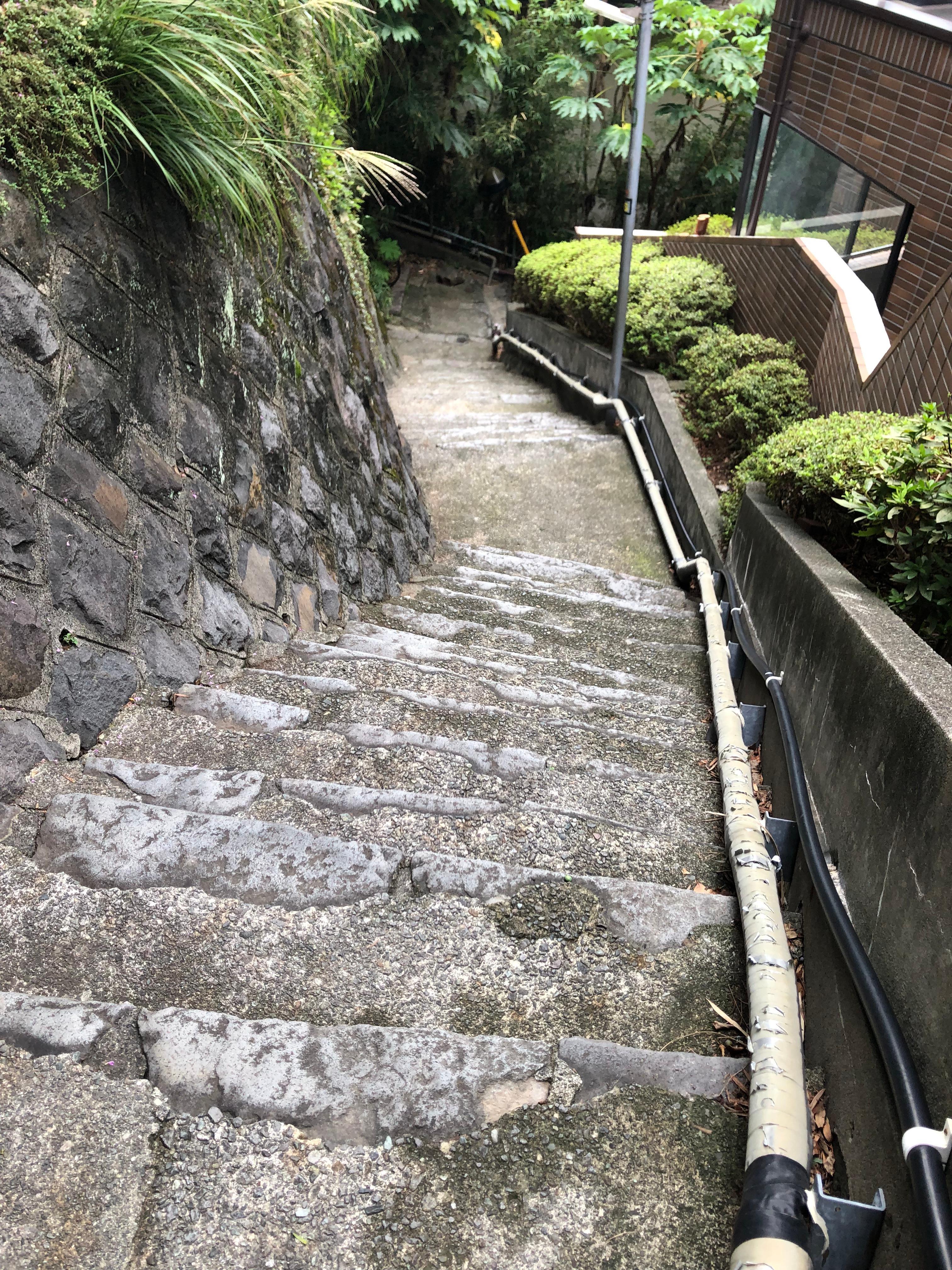 This is part of the steps going down to downtown Atami. Very steep! 