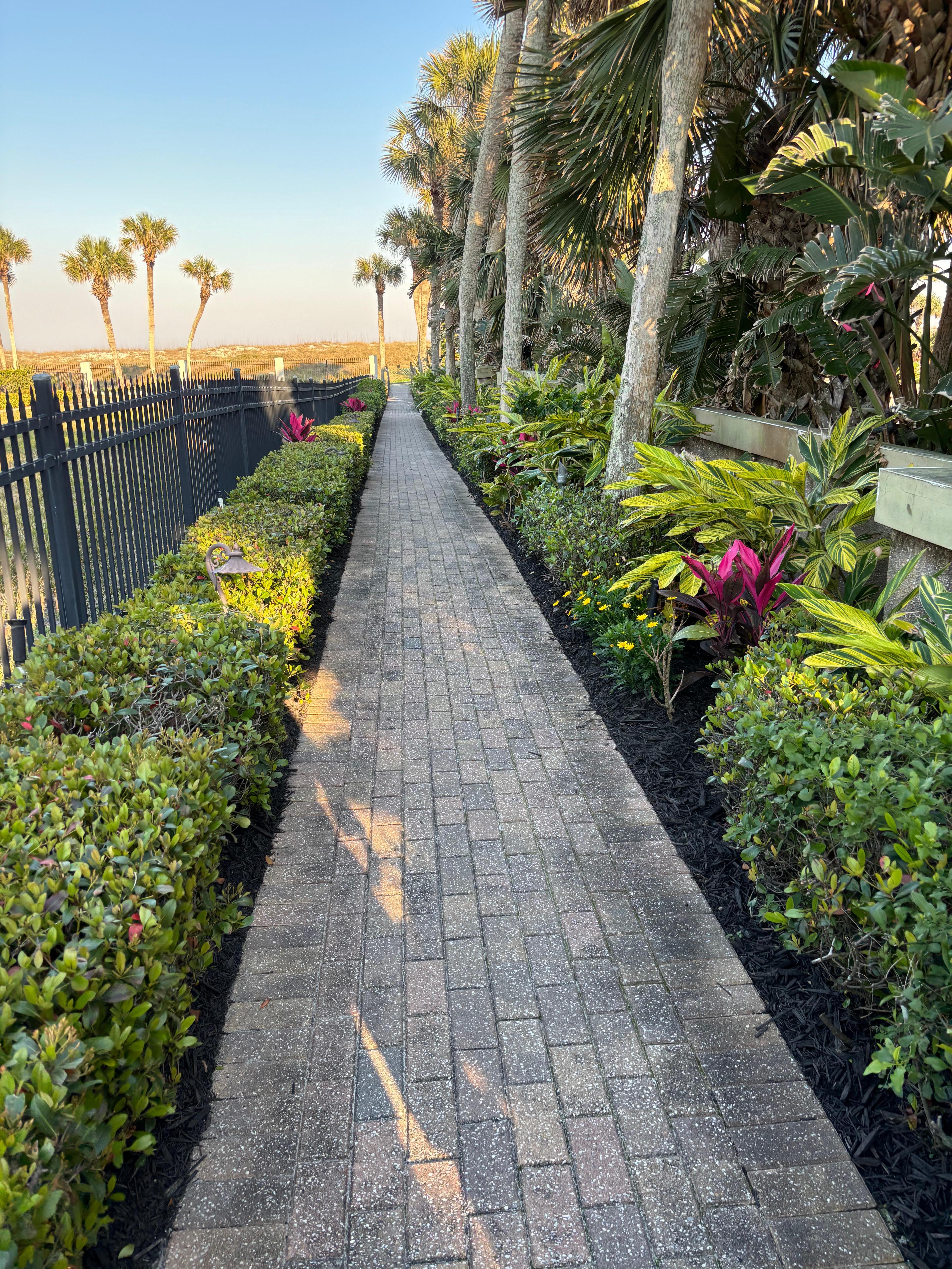 Walkway to beach 