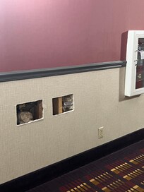 Open holes in hallway walls