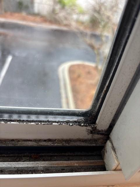 Mold