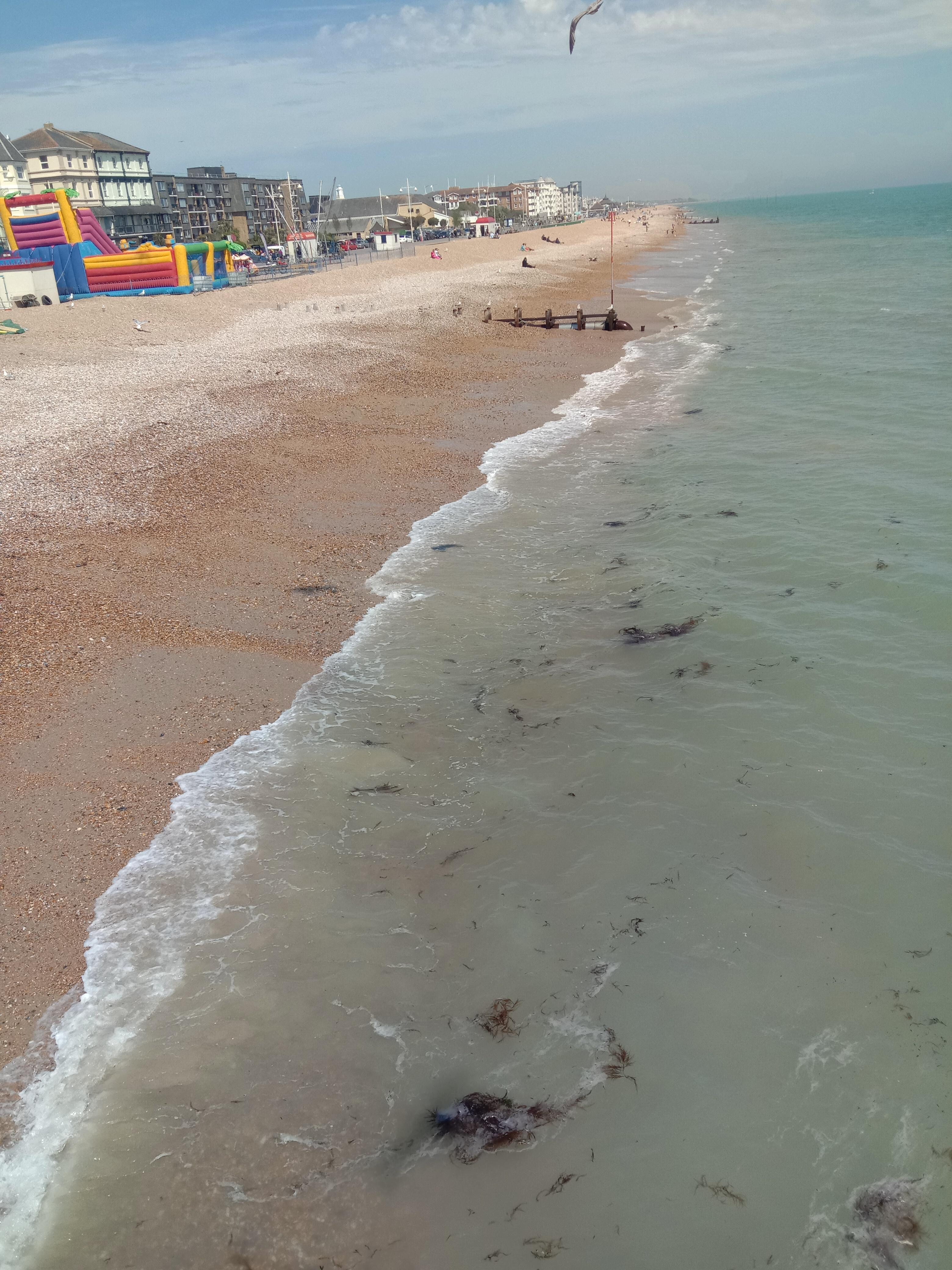 Such a long, beautiful beach, seaweed presence is a sign of clean waters, few people and those all lovely!