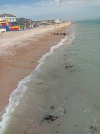 Such a long, beautiful beach, seaweed presence is a sign of clean waters, few people and those all lovely!