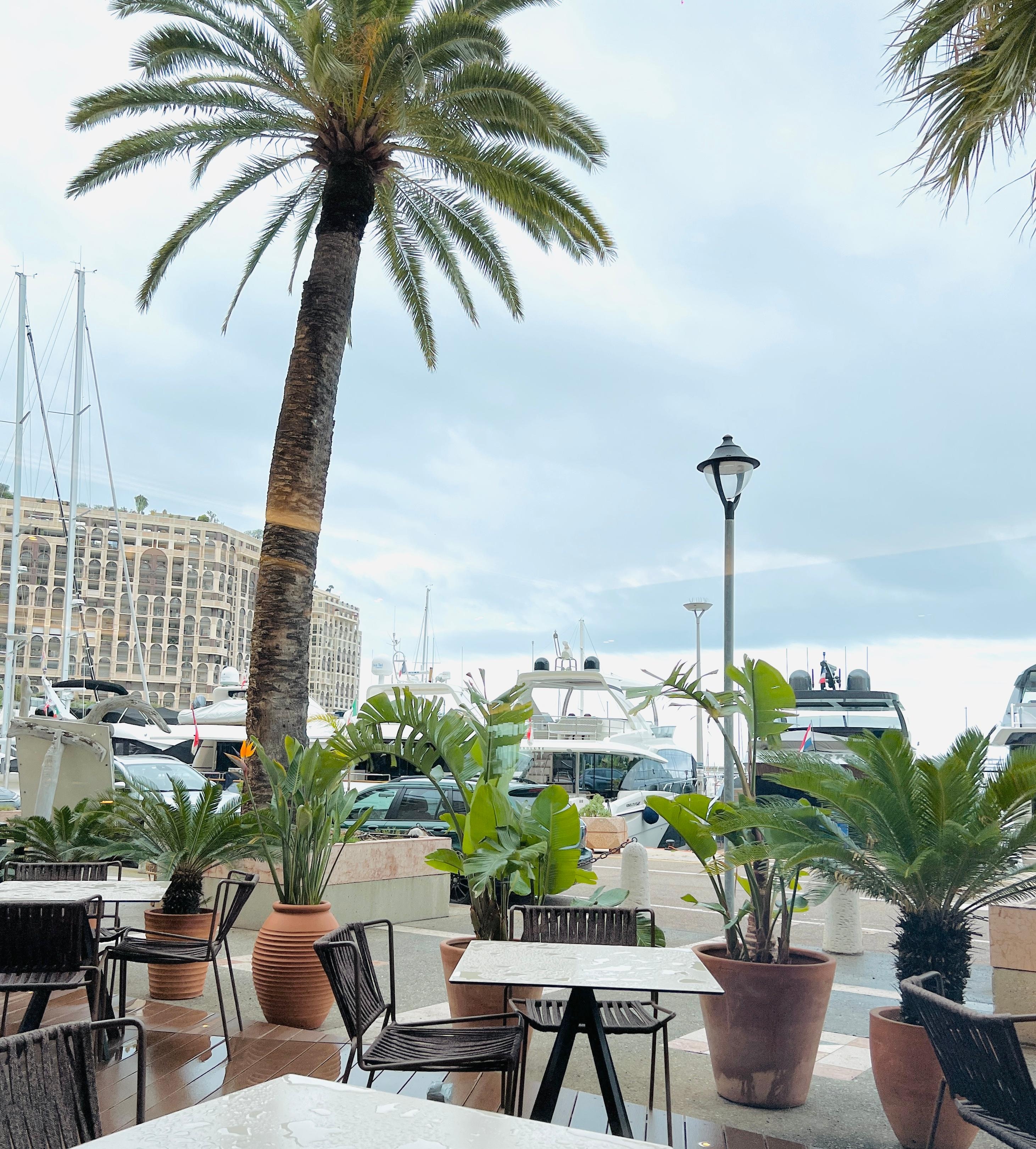 Terrace of restaurant 