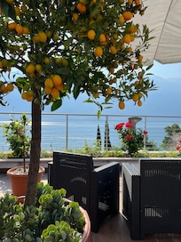 Breakfast patio