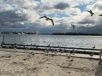 Strandleben in Toronto