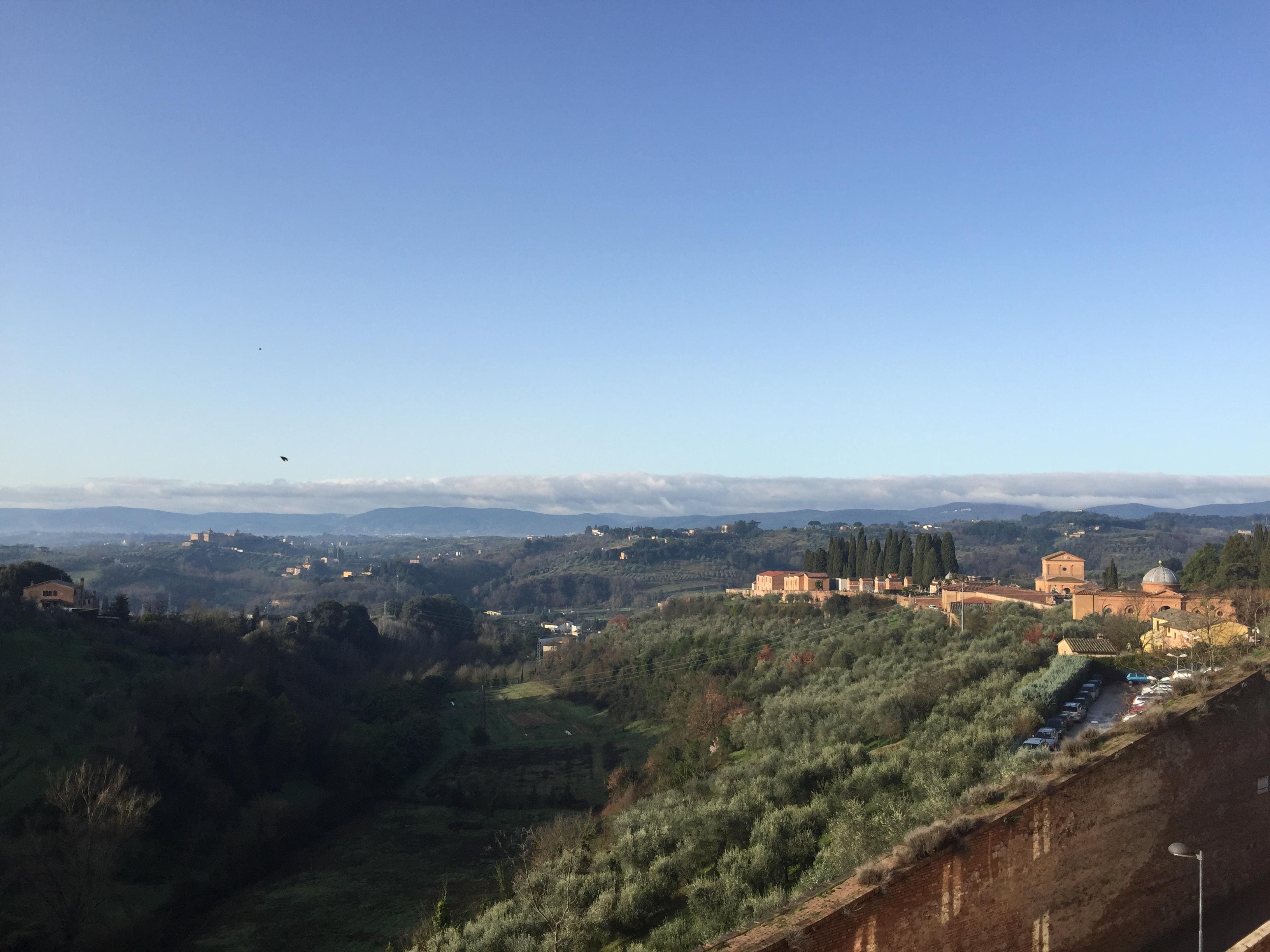 View from the rooftop!