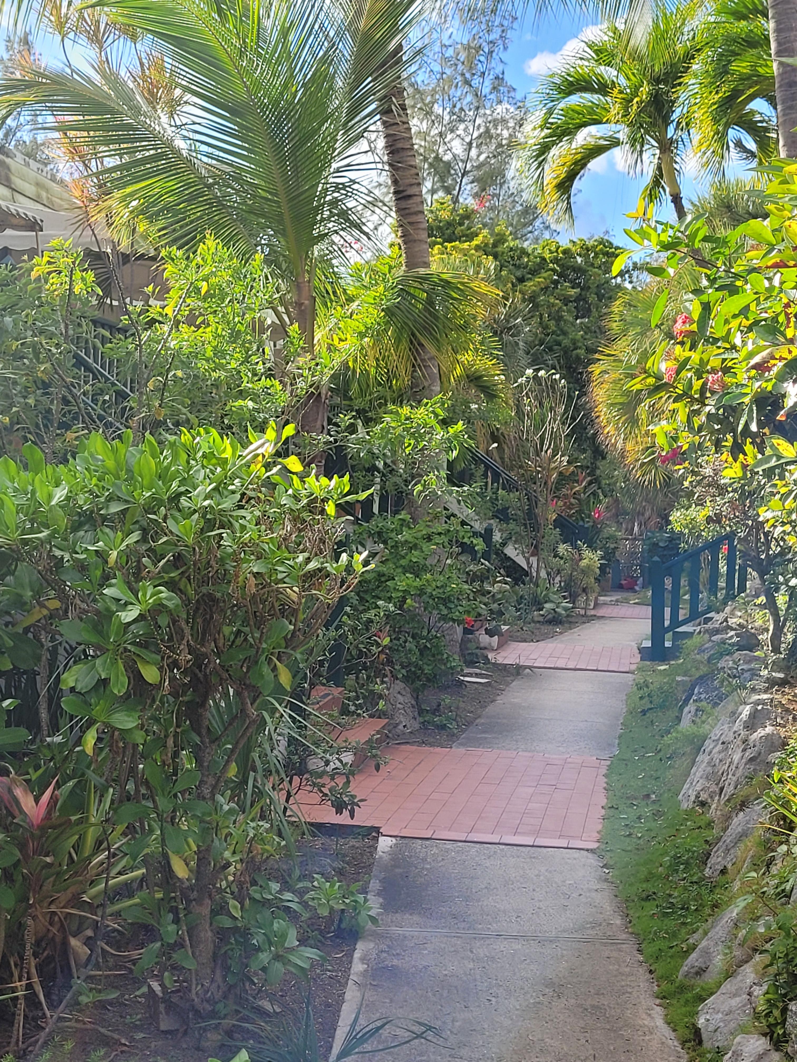 Amazing foliage throughout the hotel.