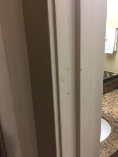 Water damage and possibly mold