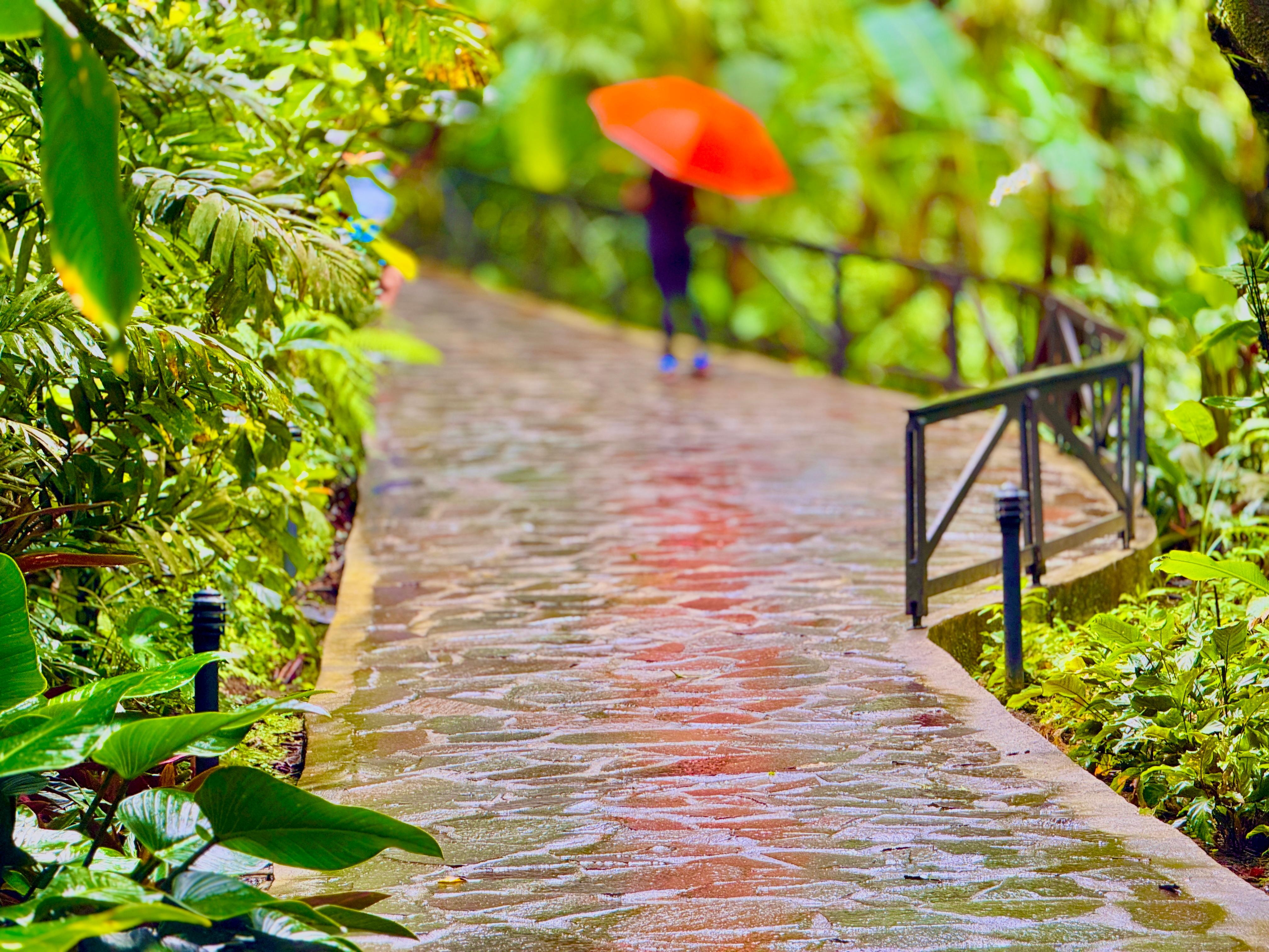 Pathways throughout the property with many being rather steep. 