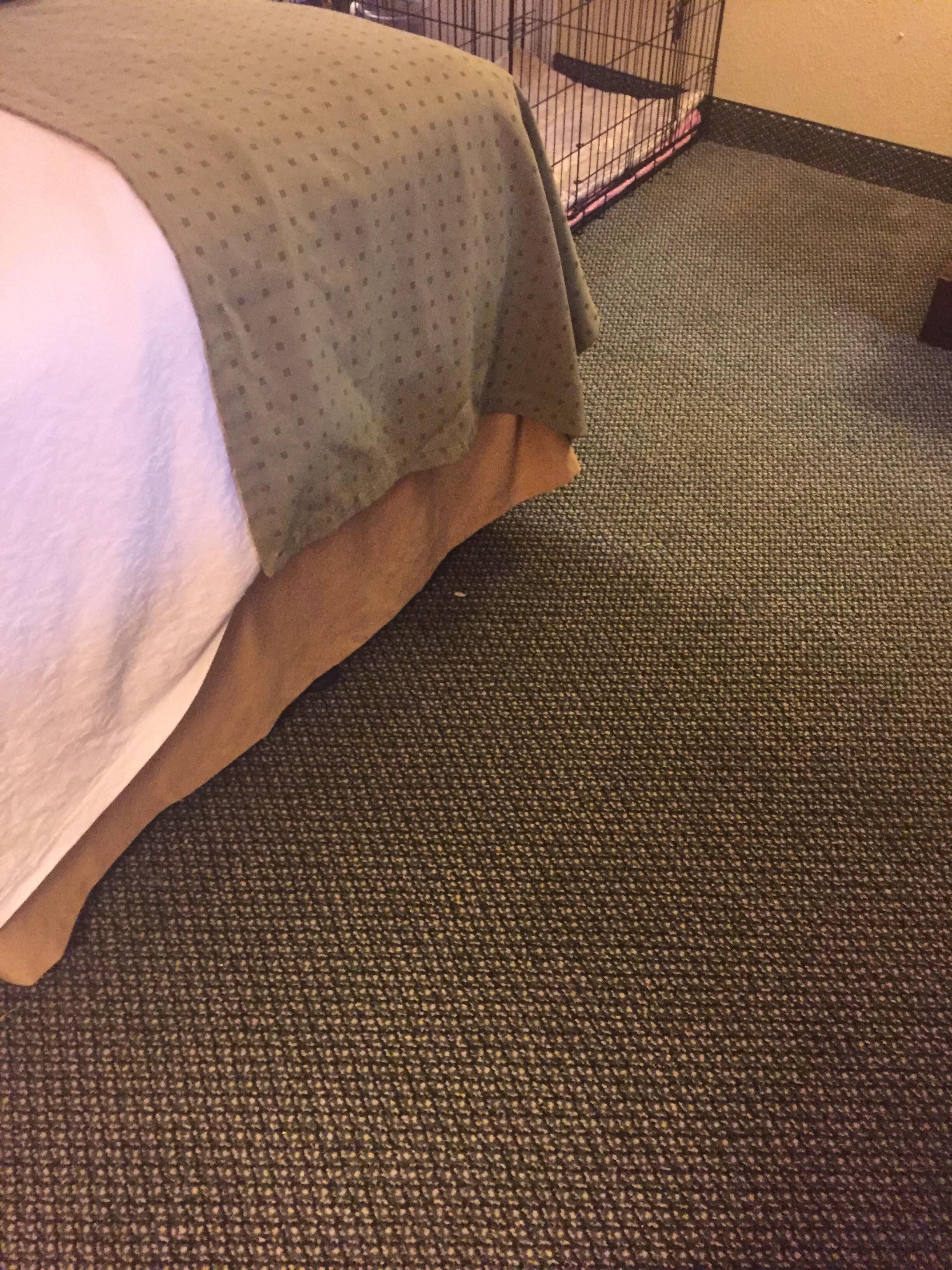 Considered cleaned by hotel