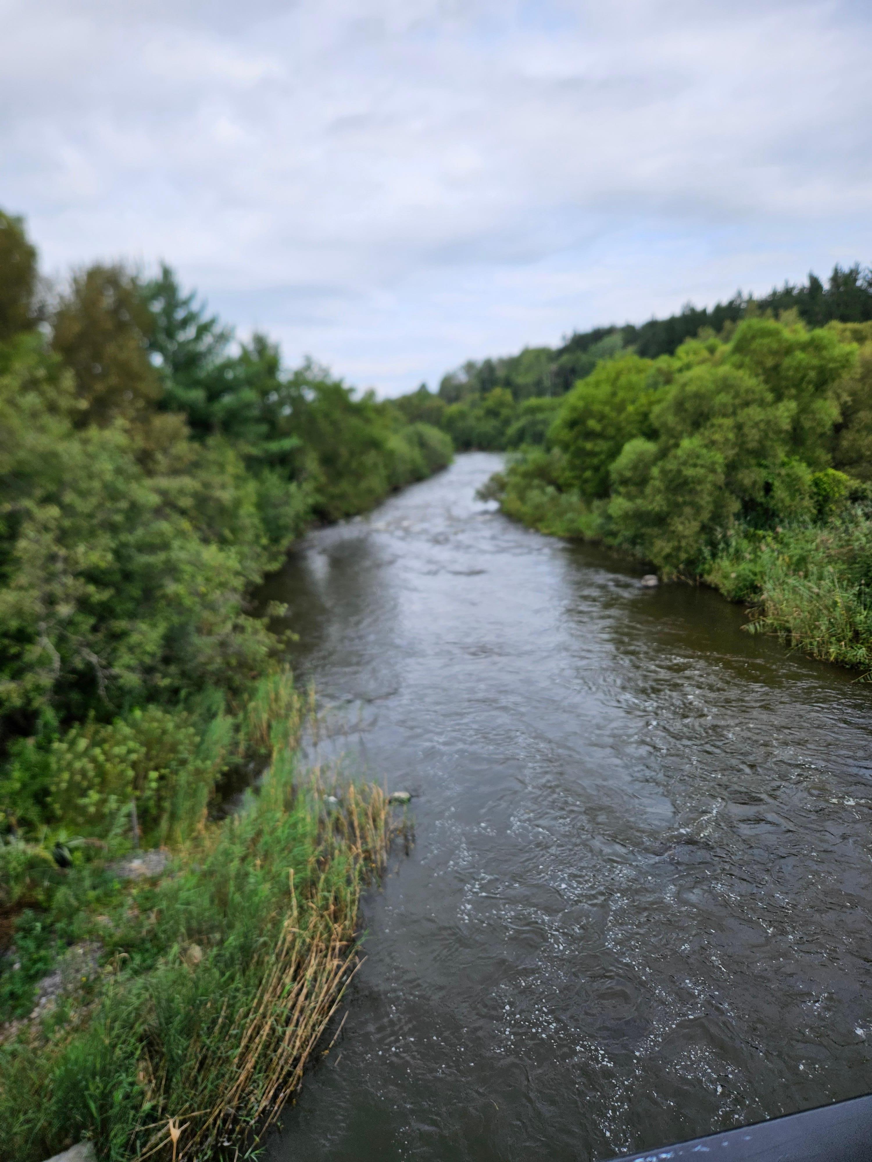 stream from trail
