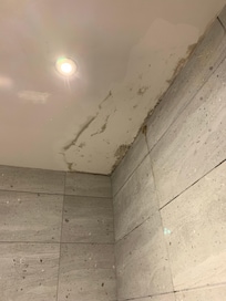 Toilet ceiling show signs of water seepage
