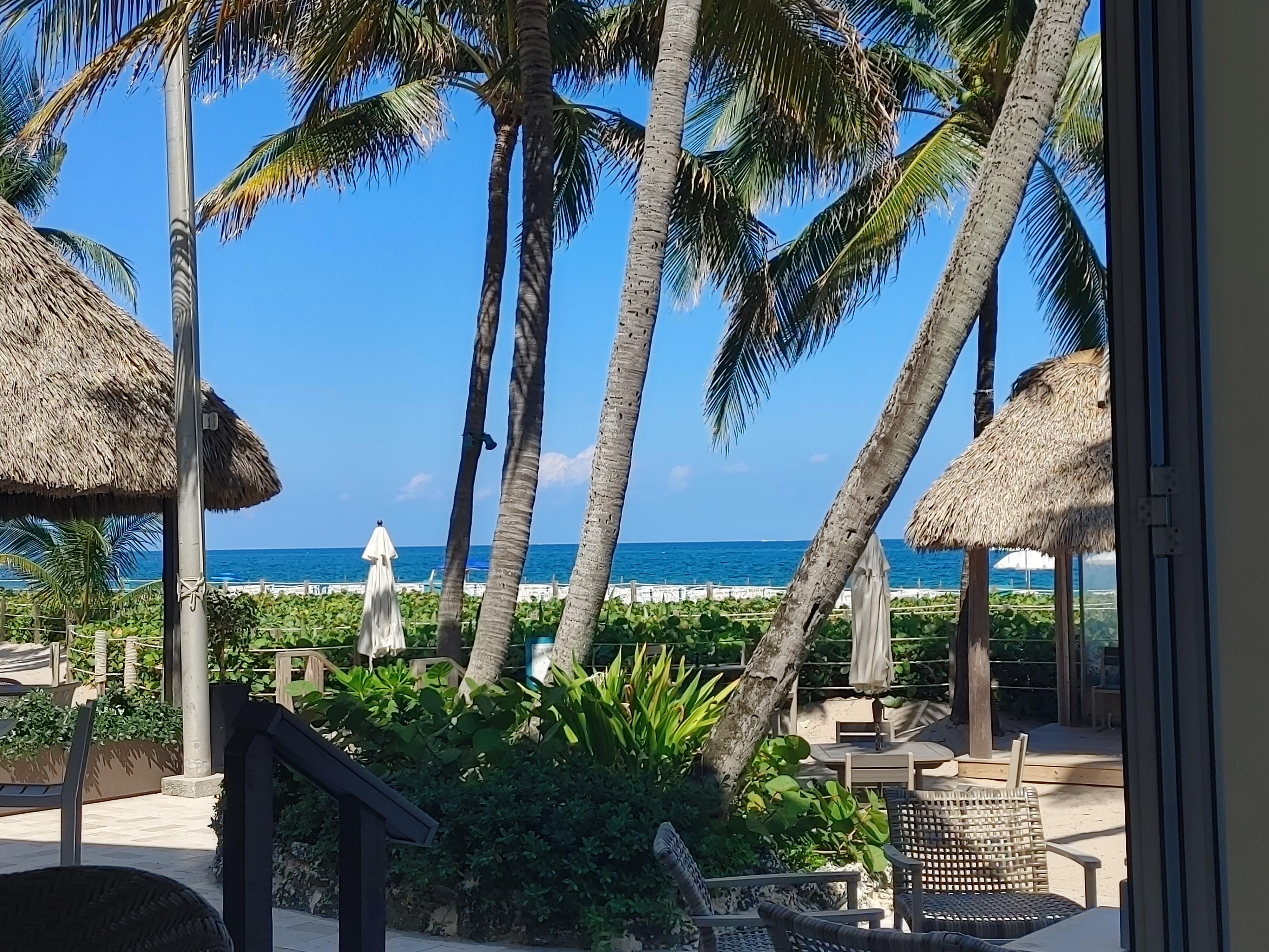 View from the beach bar