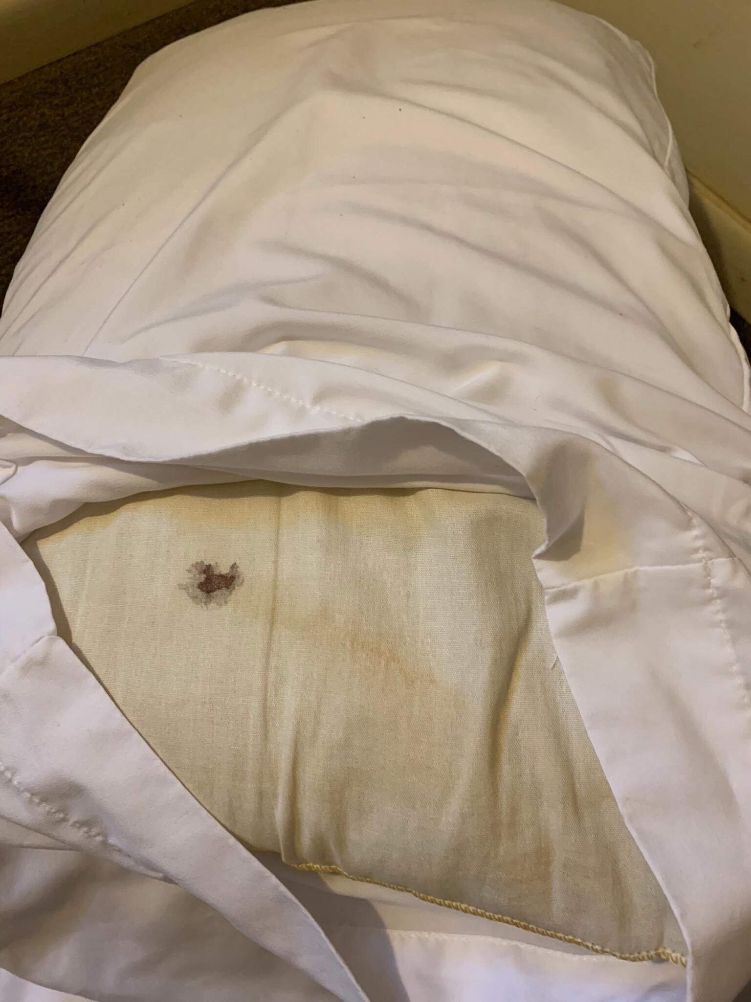 Blood stains on nasty pillows 