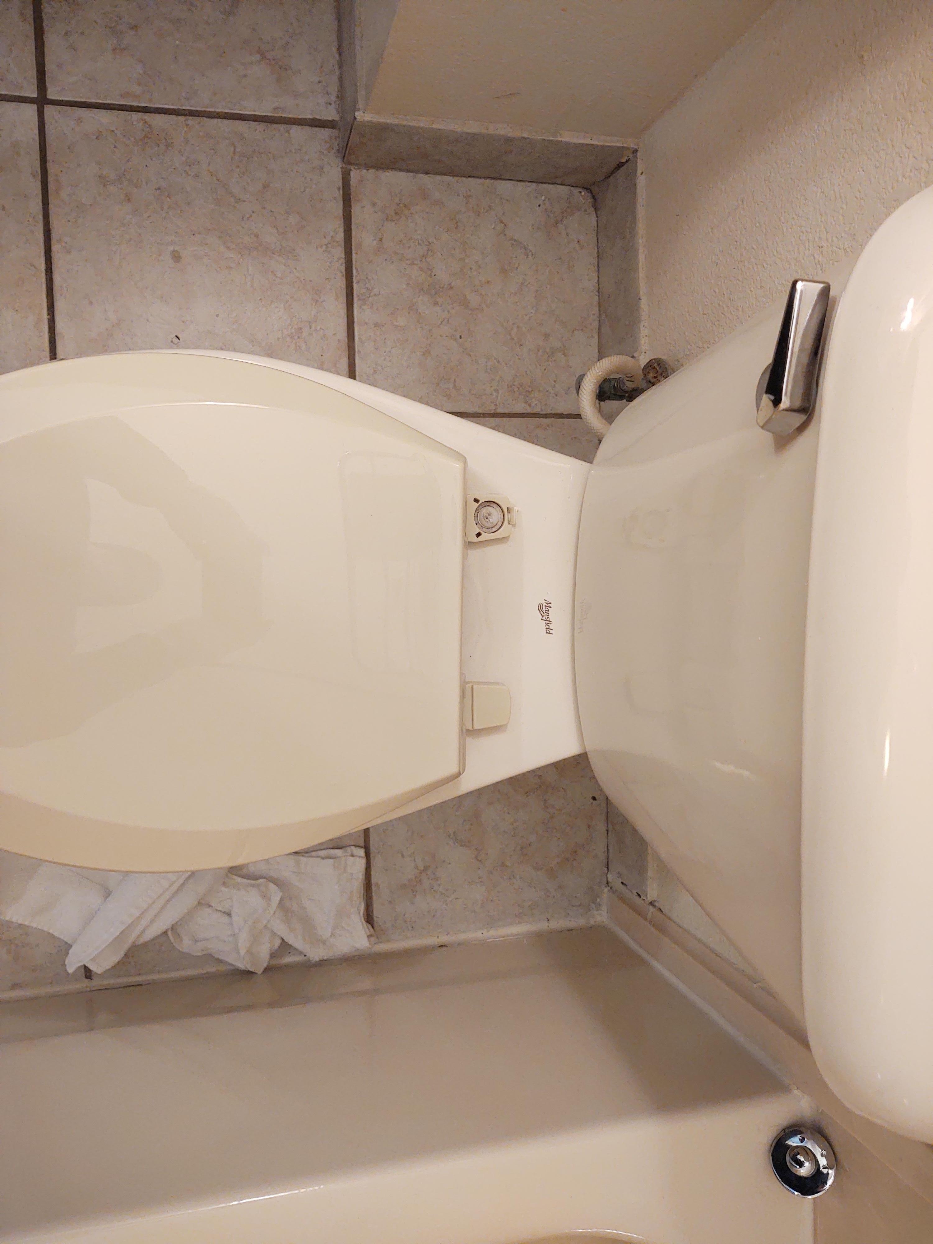 Missing toilet seat bolt cover