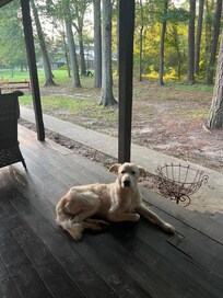 Our porch with their dog Abel