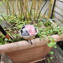 Trouvé dans la terrasse à l'arrivée