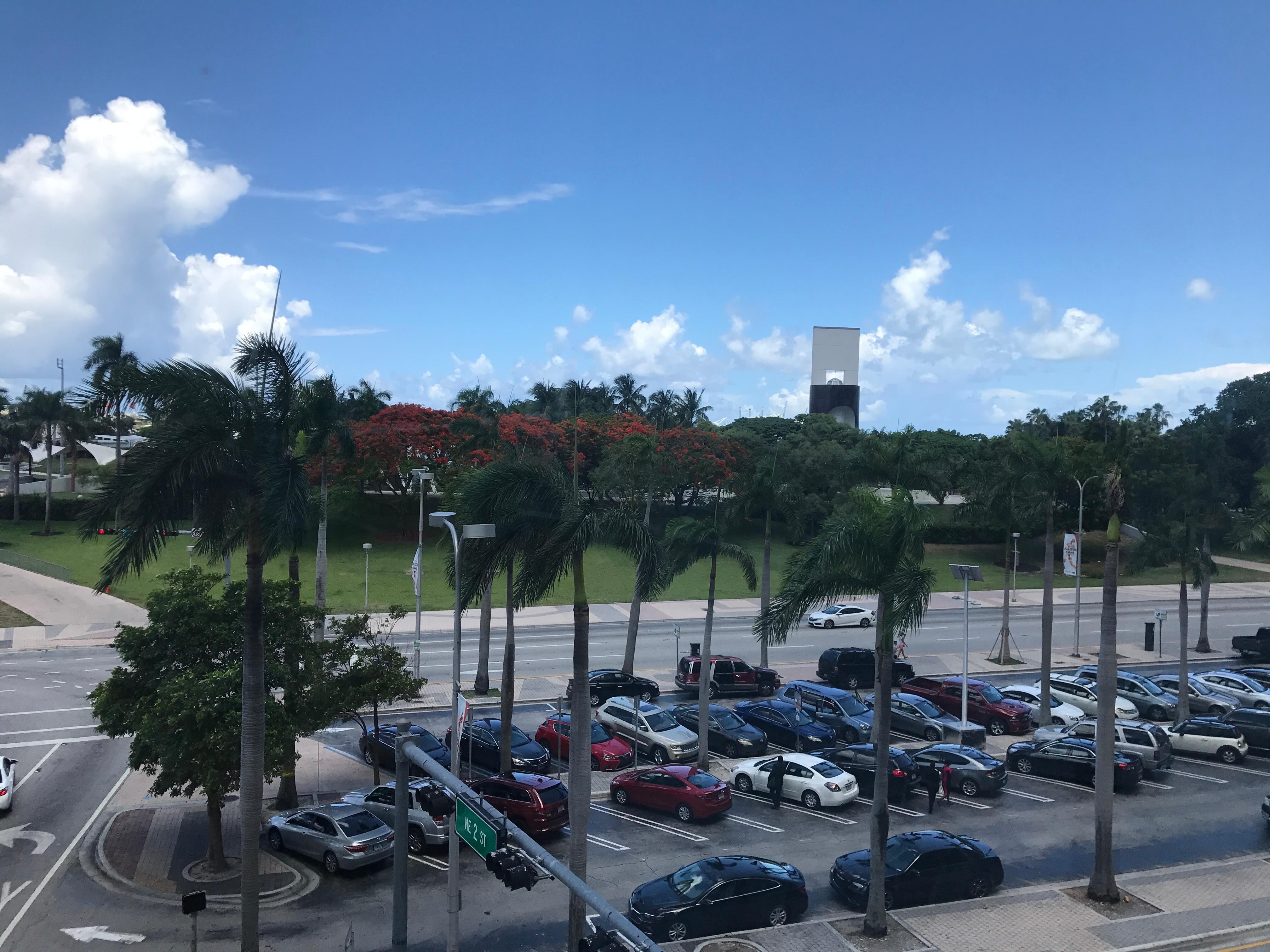 Window view