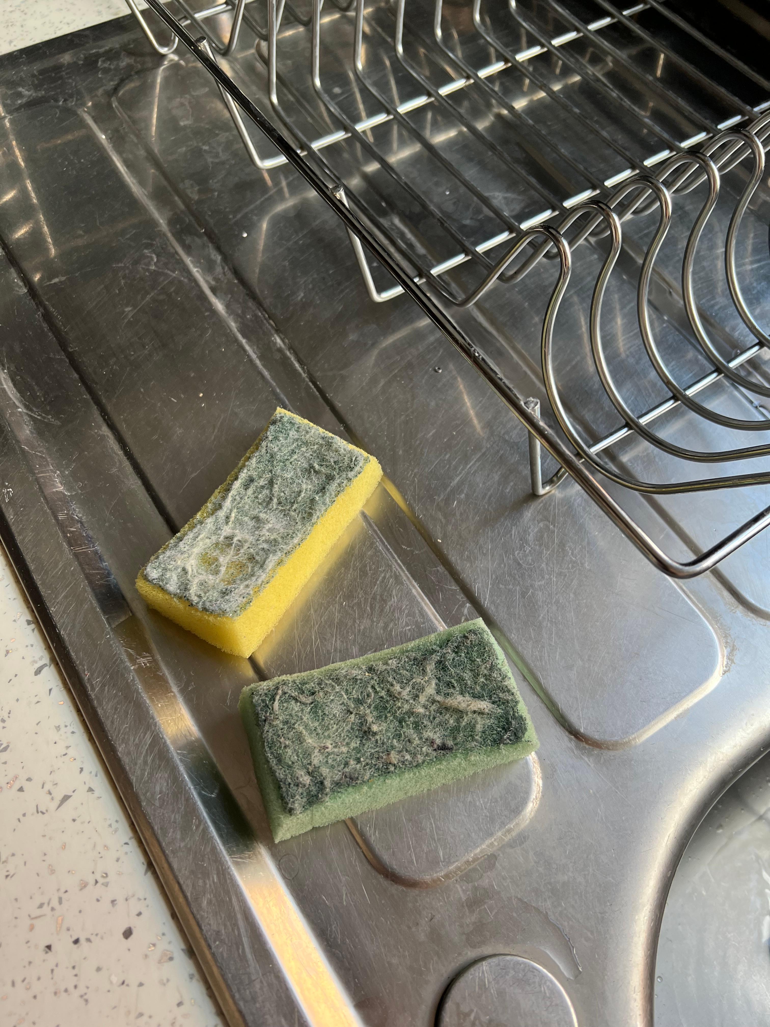 How we found the sponges on the sink in kitchen to be used with no washing detergent.  No other sauces, spices of any kind in kitchen. 