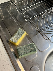 How we found the sponges on the sink in kitchen to be used with no washing detergent. No other sauces, spices of any kind in kitchen.