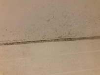 Mould on walls