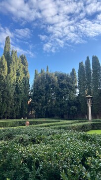 Jardim
