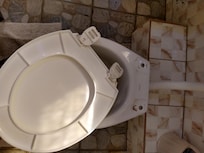 Toilet seat
