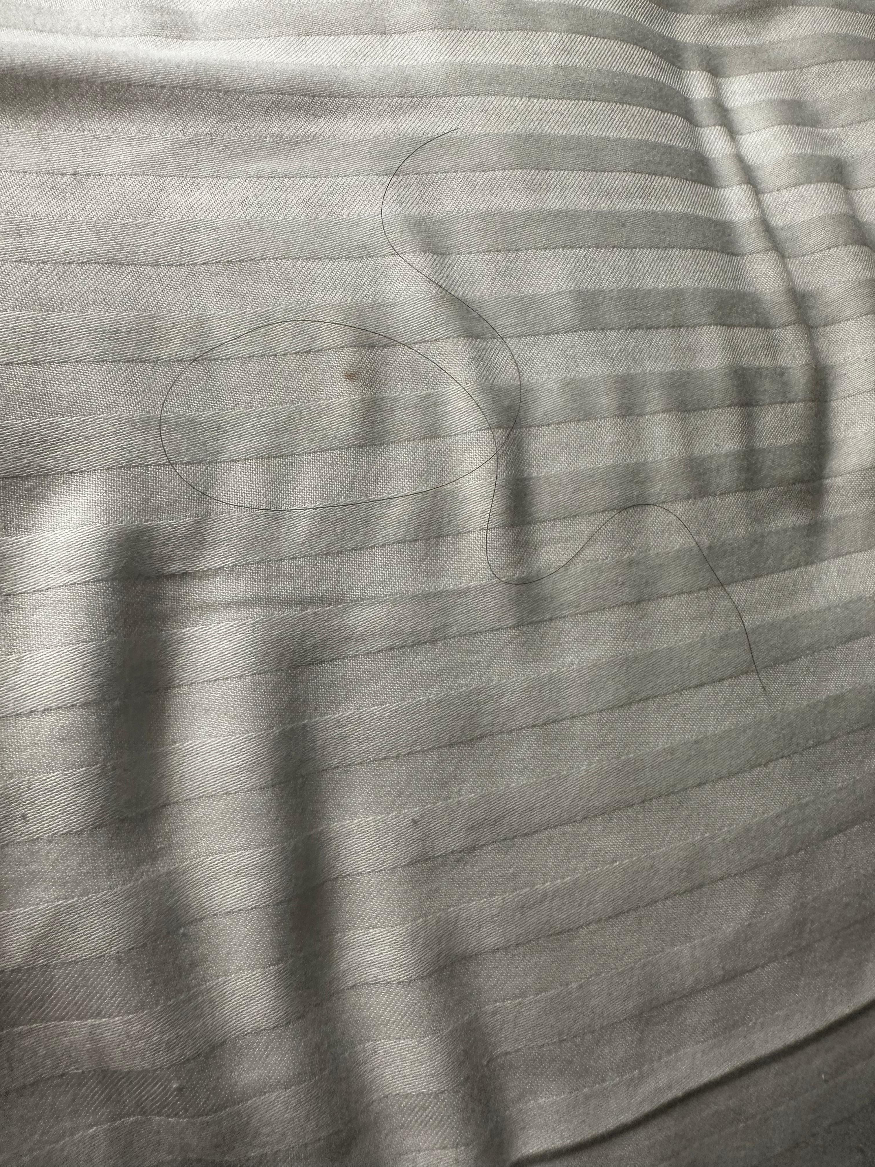 Hair in bed after I pulled back the covers