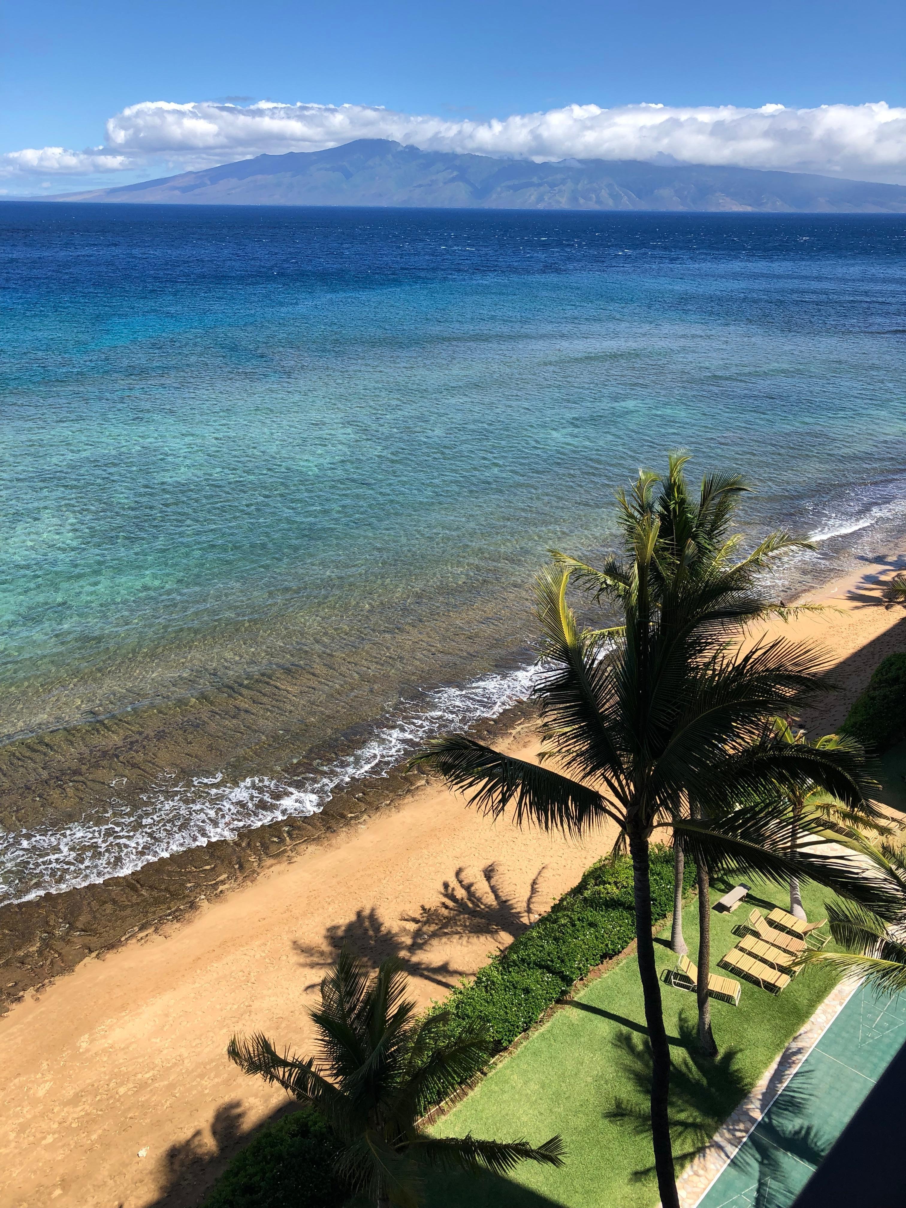 Room with a view