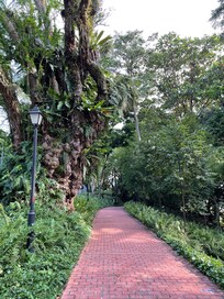 Nice walkways in the park around the hotel.