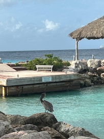 Píer vista do restaurante café da manhã