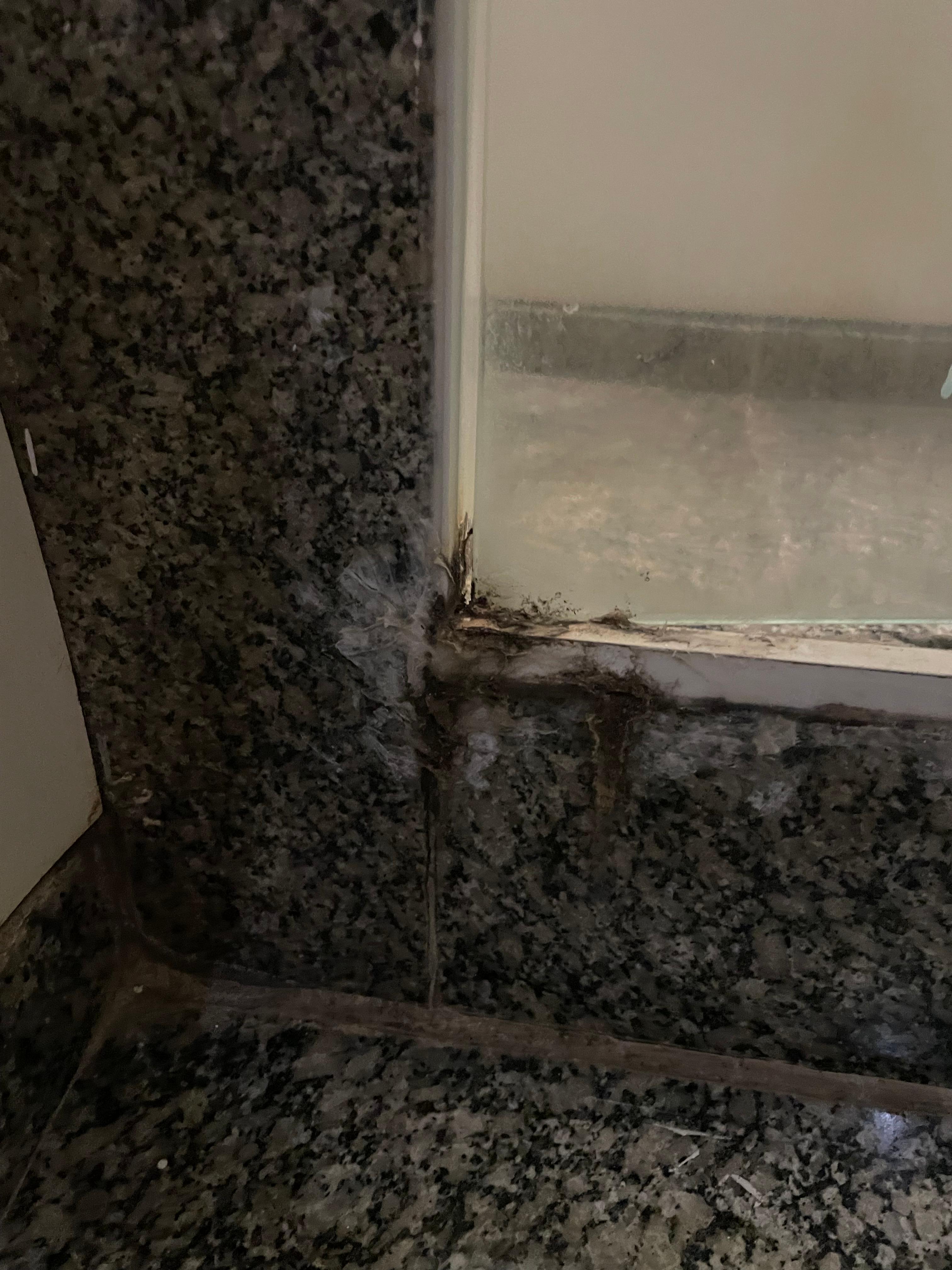 Shower Mould and grime