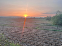 The sun rise over the fields