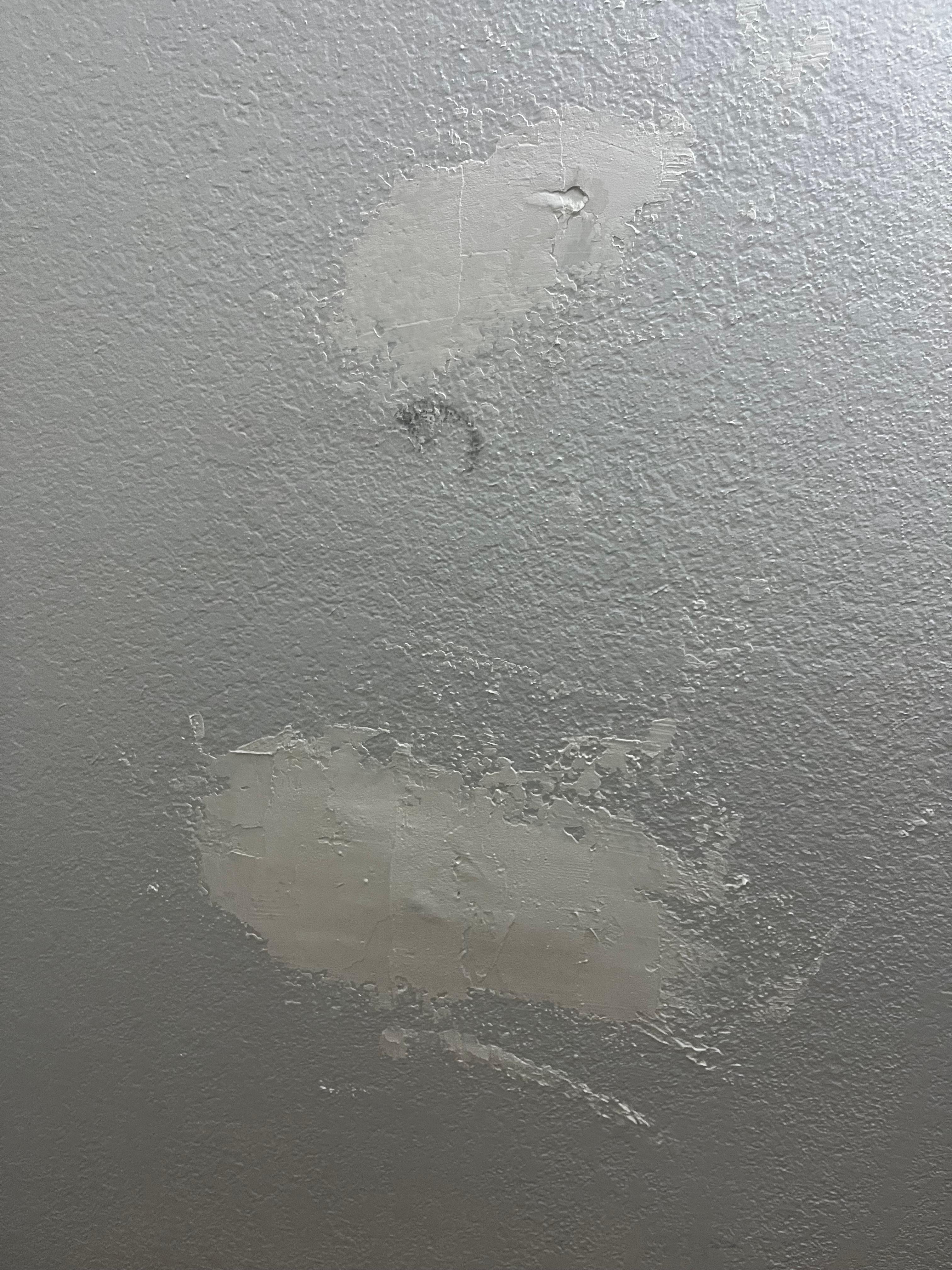 Scuff marks on walls 