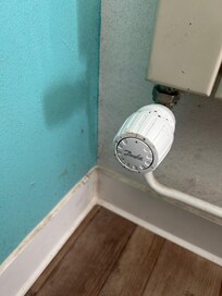 These walls has not seen cleaning for a long time