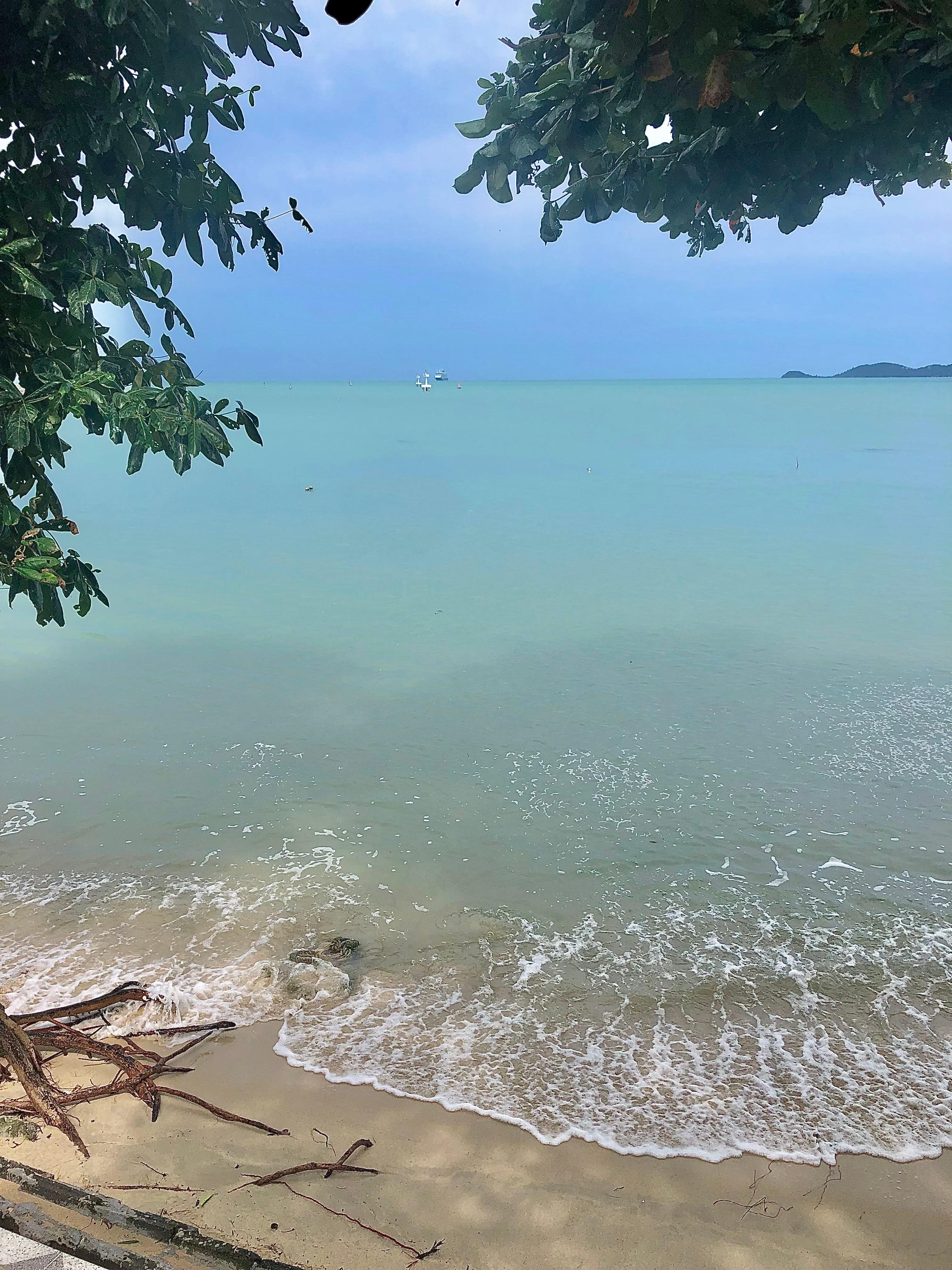 Après l’orage du matin, vue du bungalow… féerique !