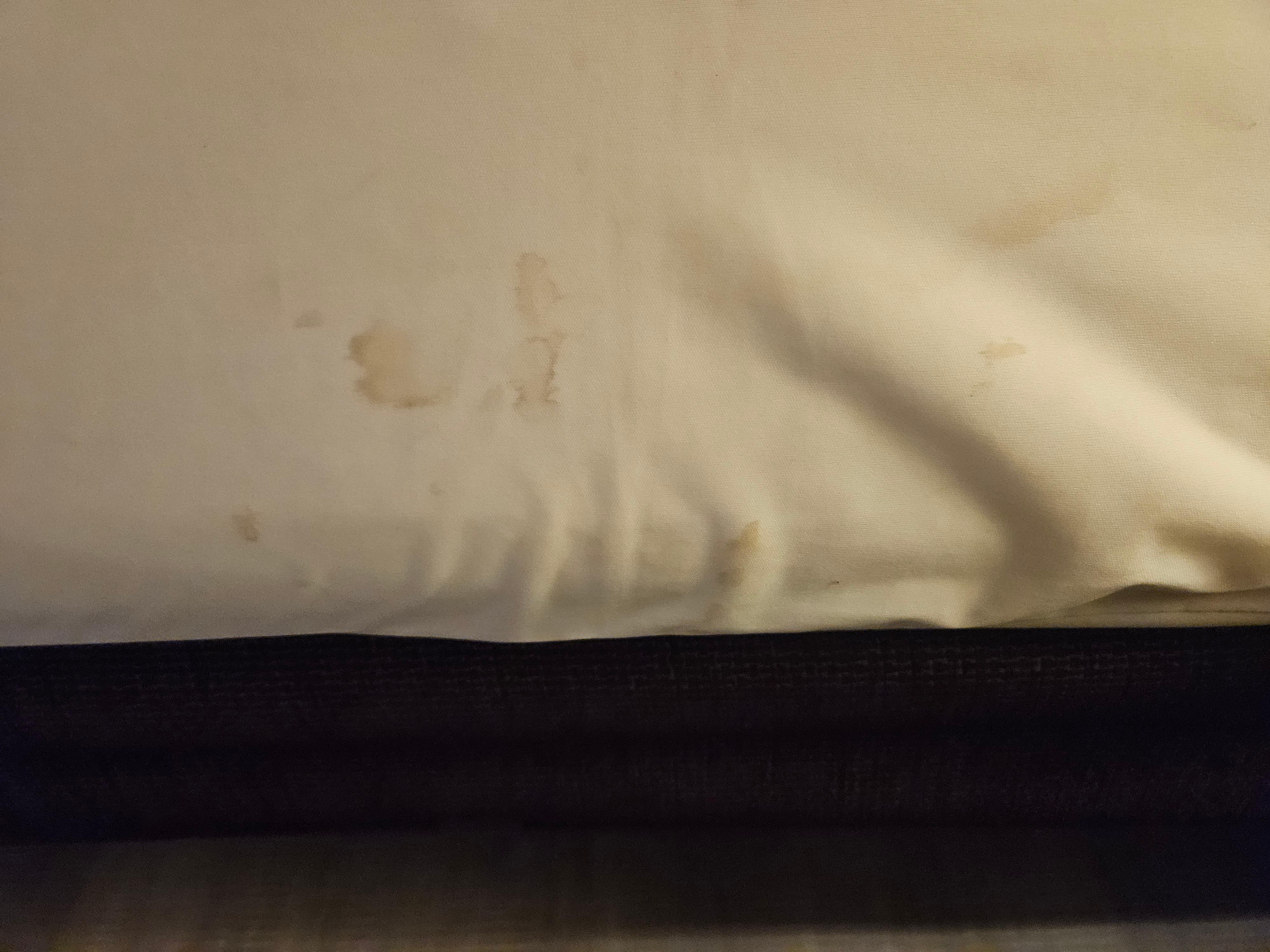 The bed sheets