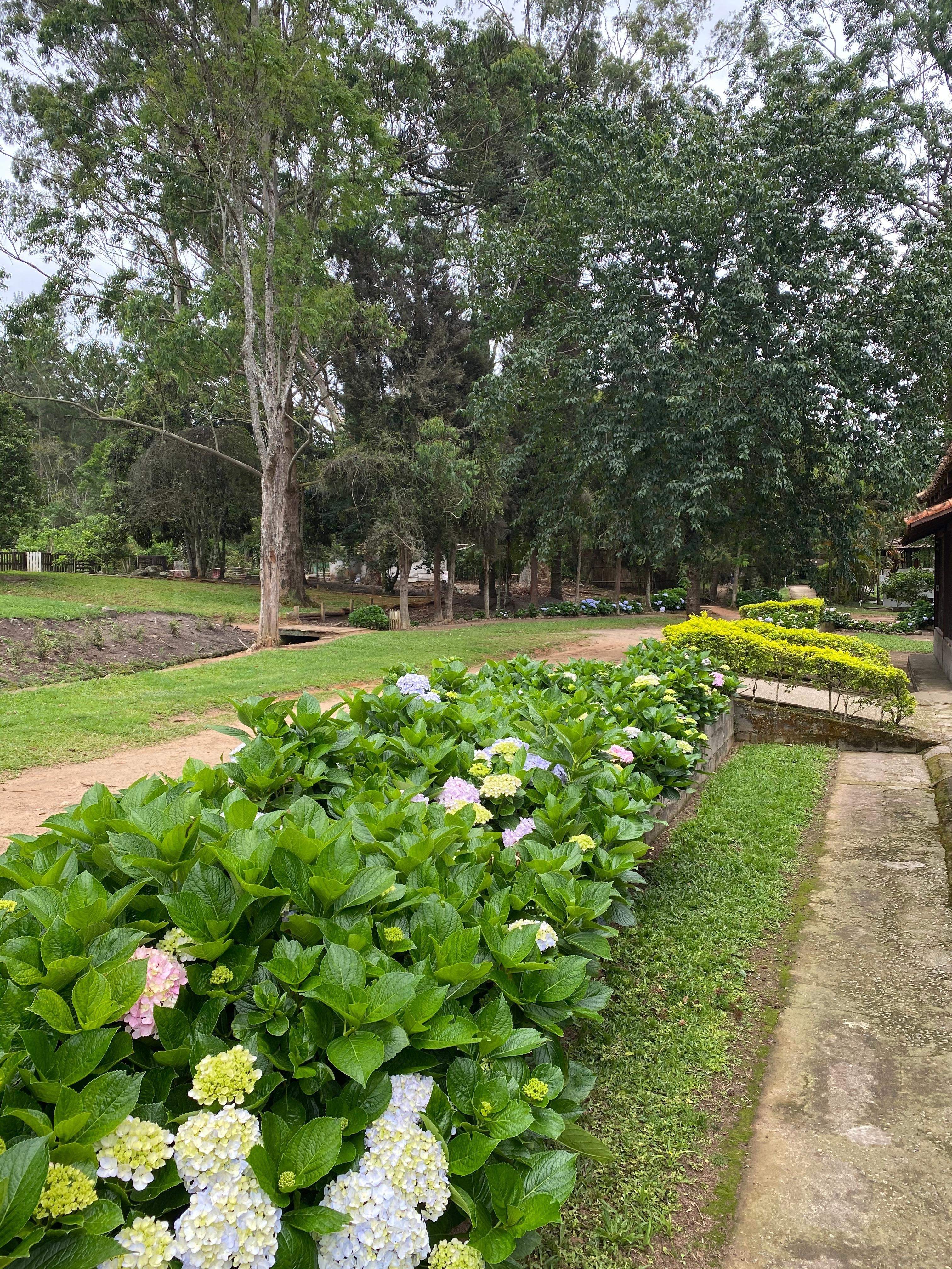 Pista de caminhada e cavalgada