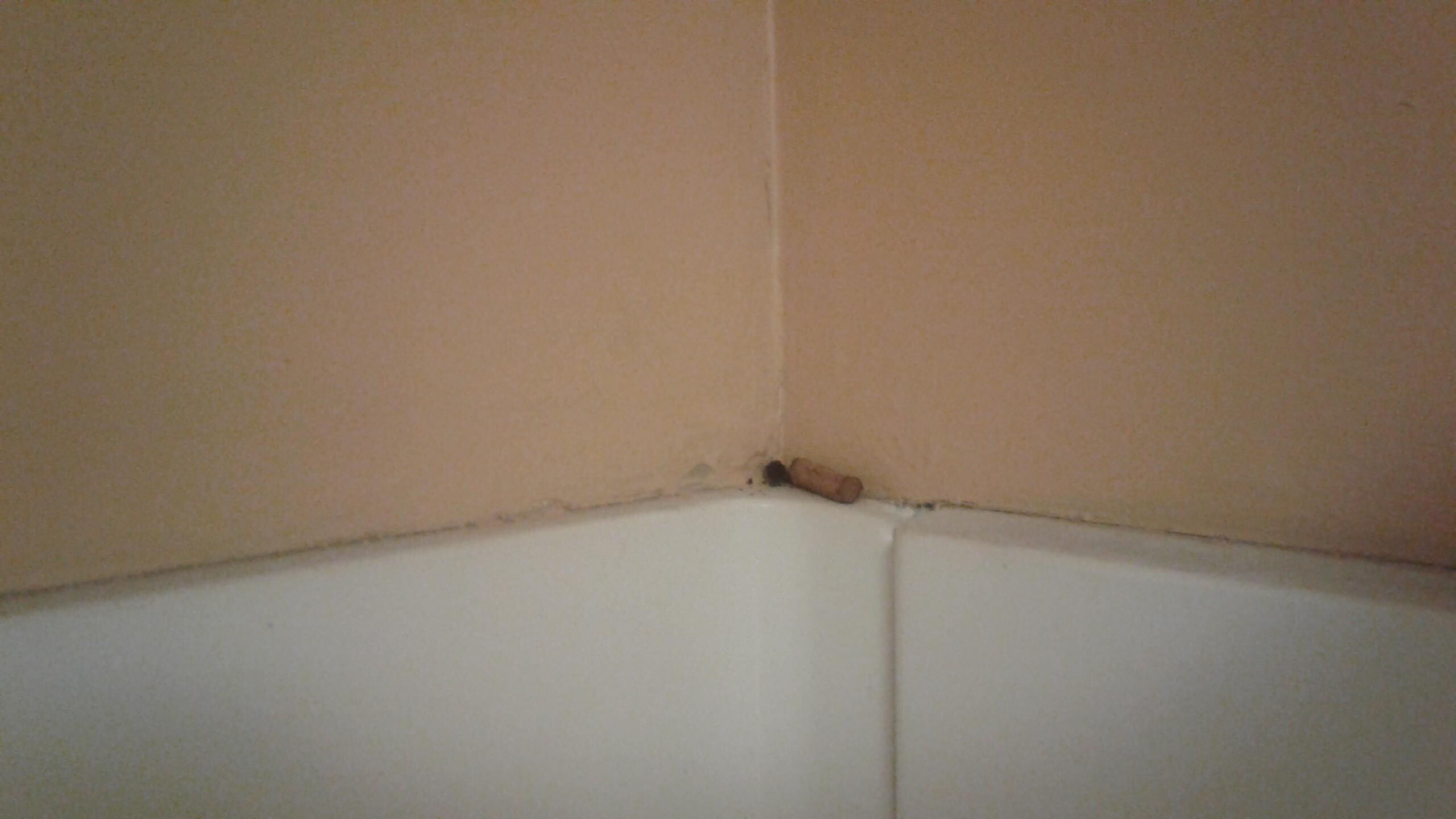 Cigarettes in shower we were greeted with.